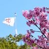 ご霊地の風景・桜