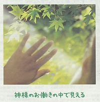 視野の中に赤い染みが　【金光新聞】