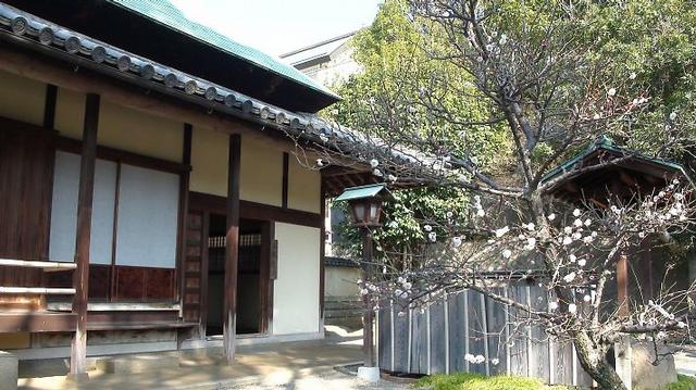 ご霊地の風景　2月23日