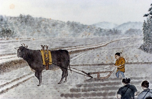 内田律爾《15 歳の浅吉が牛を使う》